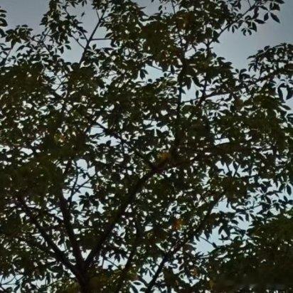 每日一善[超话] 每一次战役都是在战斗中获胜或失去的 ​​​