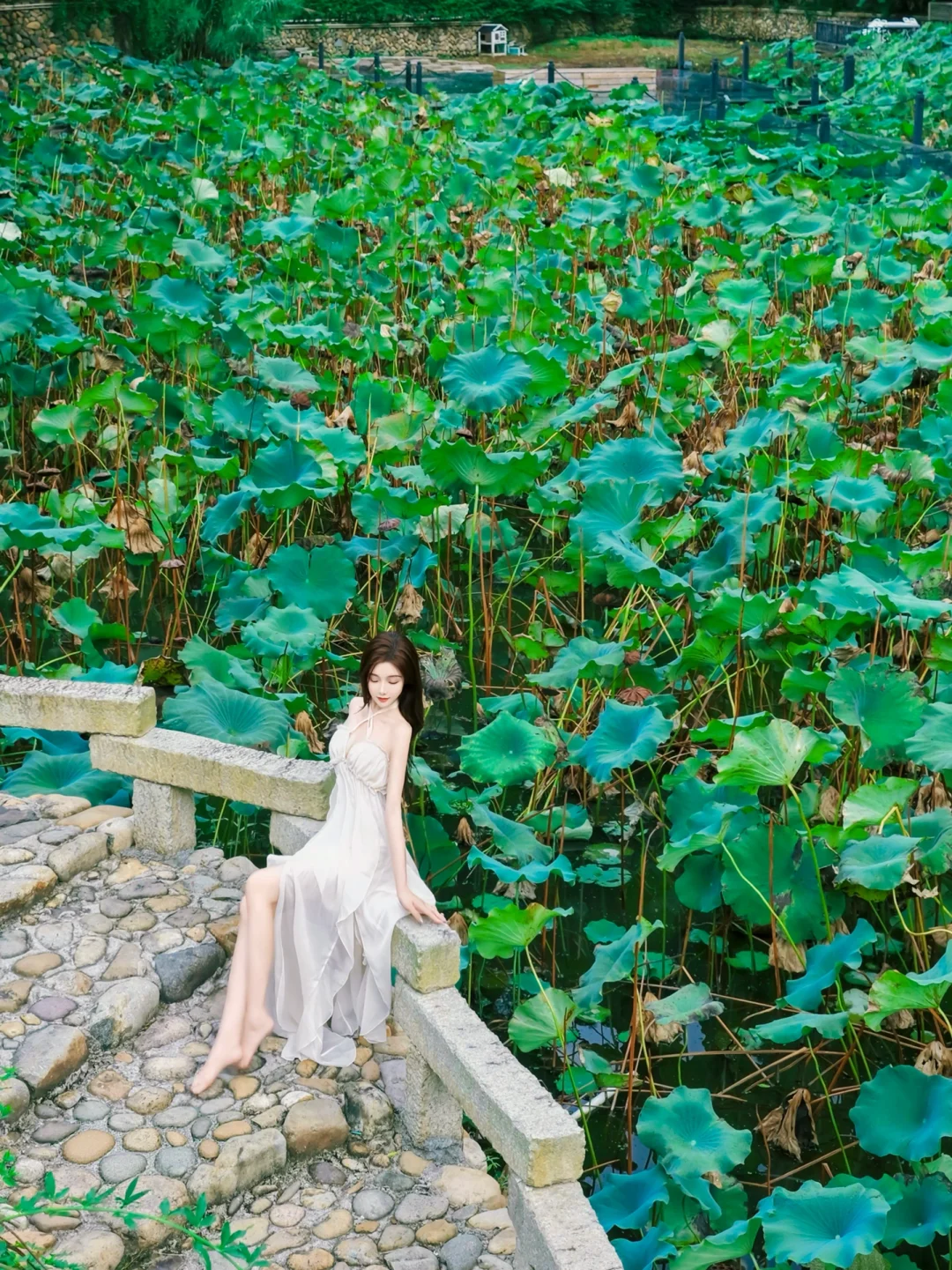 丽水这地方真的被低估～