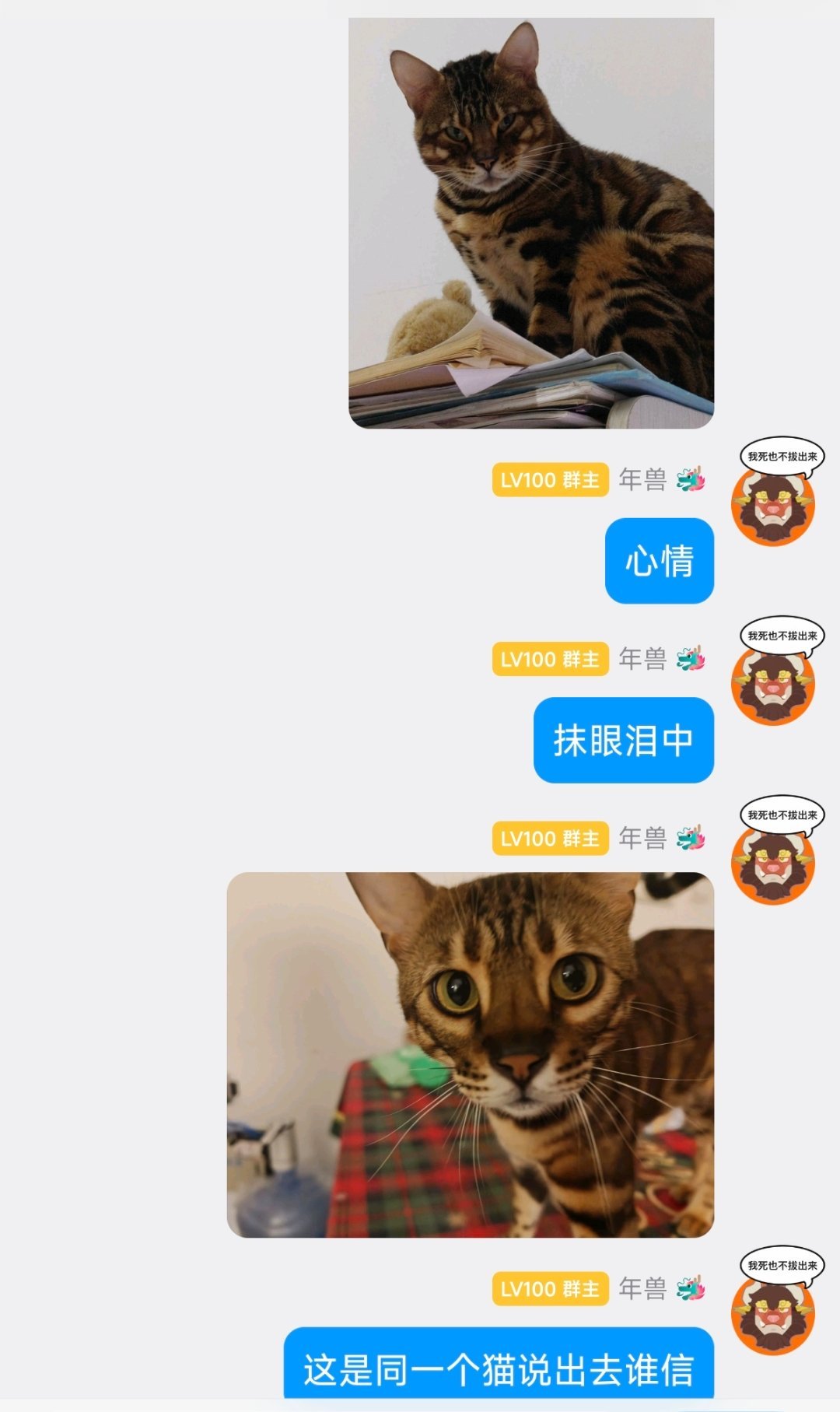 会不会一直是家里有两个雷诺 