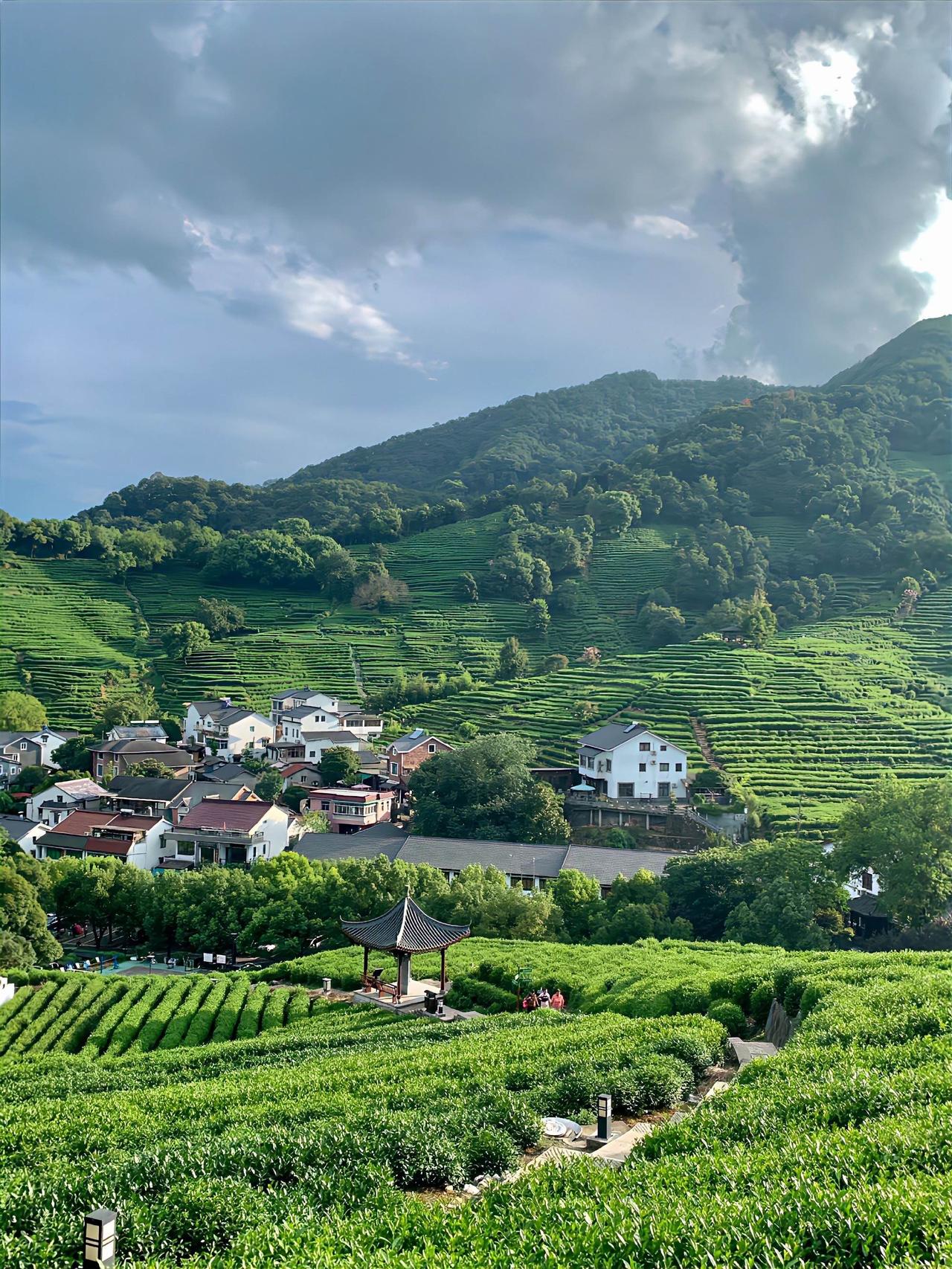 说真话，我不反对智能化，但是我反对的是因为智能化而让绝大多数的人失业，甚至说没有