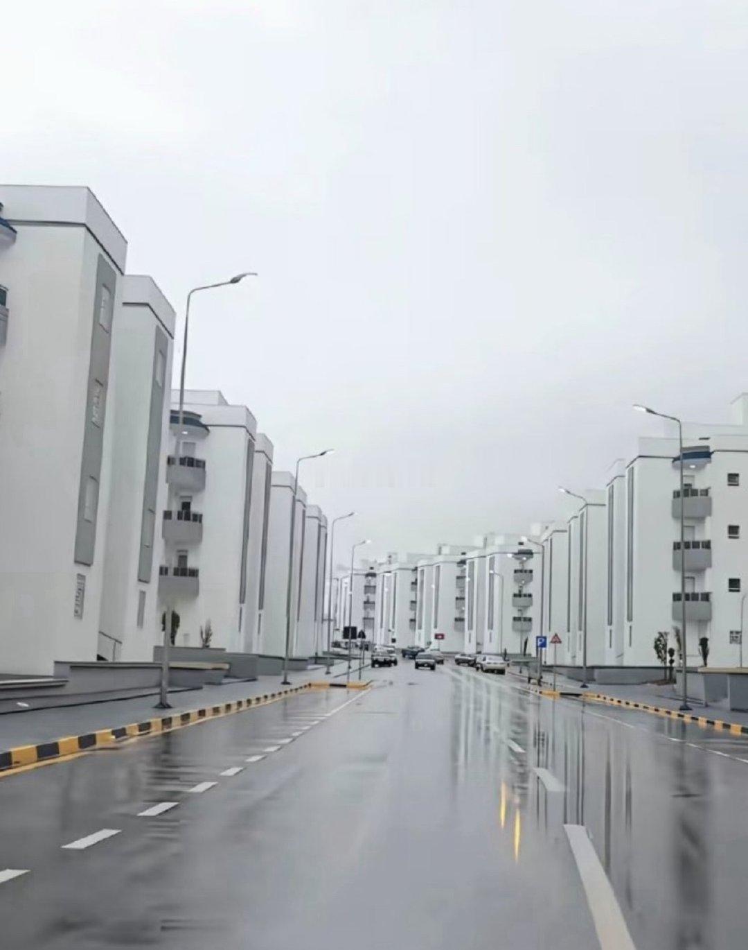 原来一个城市没有绿化带是这个样子的​​​