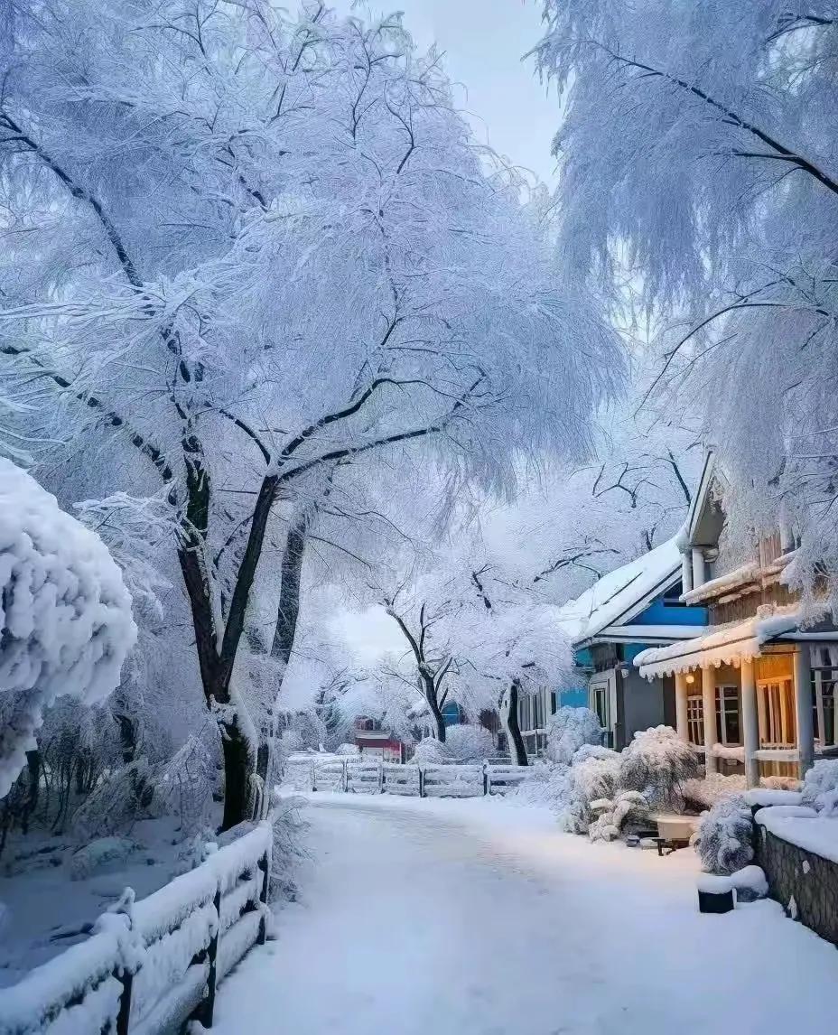 冬日童话，雪中静谧的乡村小路。