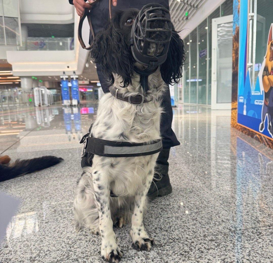 安检一分钟平安一路通文明出行共筑平安