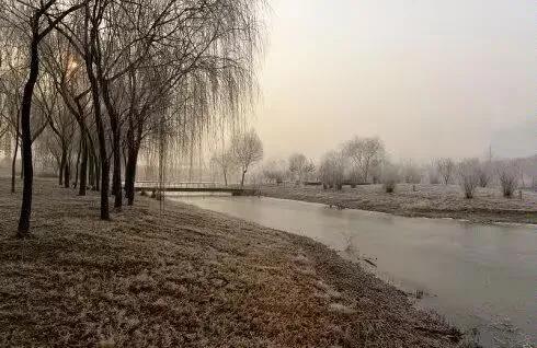 人生，是岁月里最深情的一瞥。或为草木，或为雨雪，或为滚滚红尘中的一粒，就要彰显最