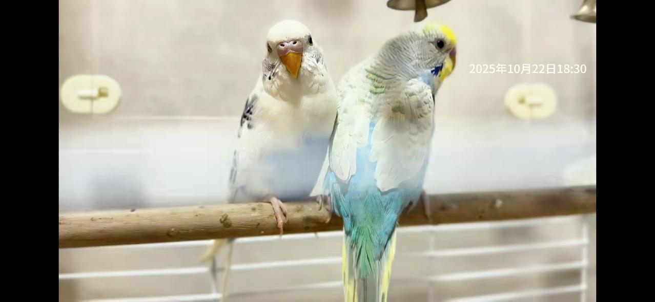 看了一遍网友讲述的胡笑笑家的故事，讨论谁活得对，谁活得不对。
这是个挺有意思的话