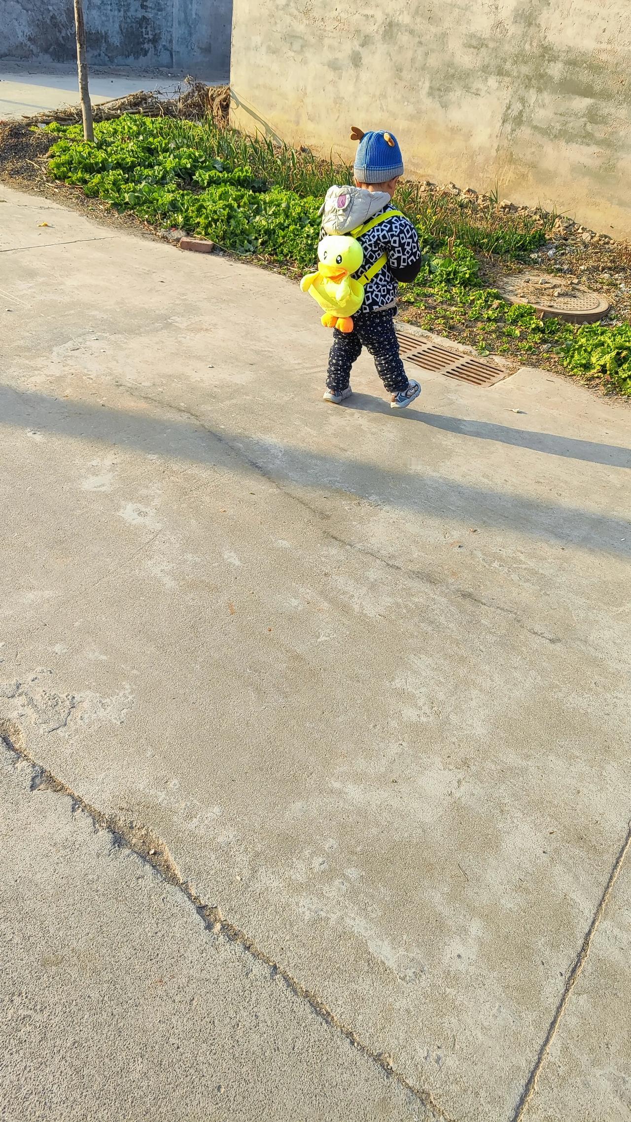 曾经热闹非凡的农村，如今变得格外冷清。那些曾经充满欢声笑语的院子，如今大门紧闭，