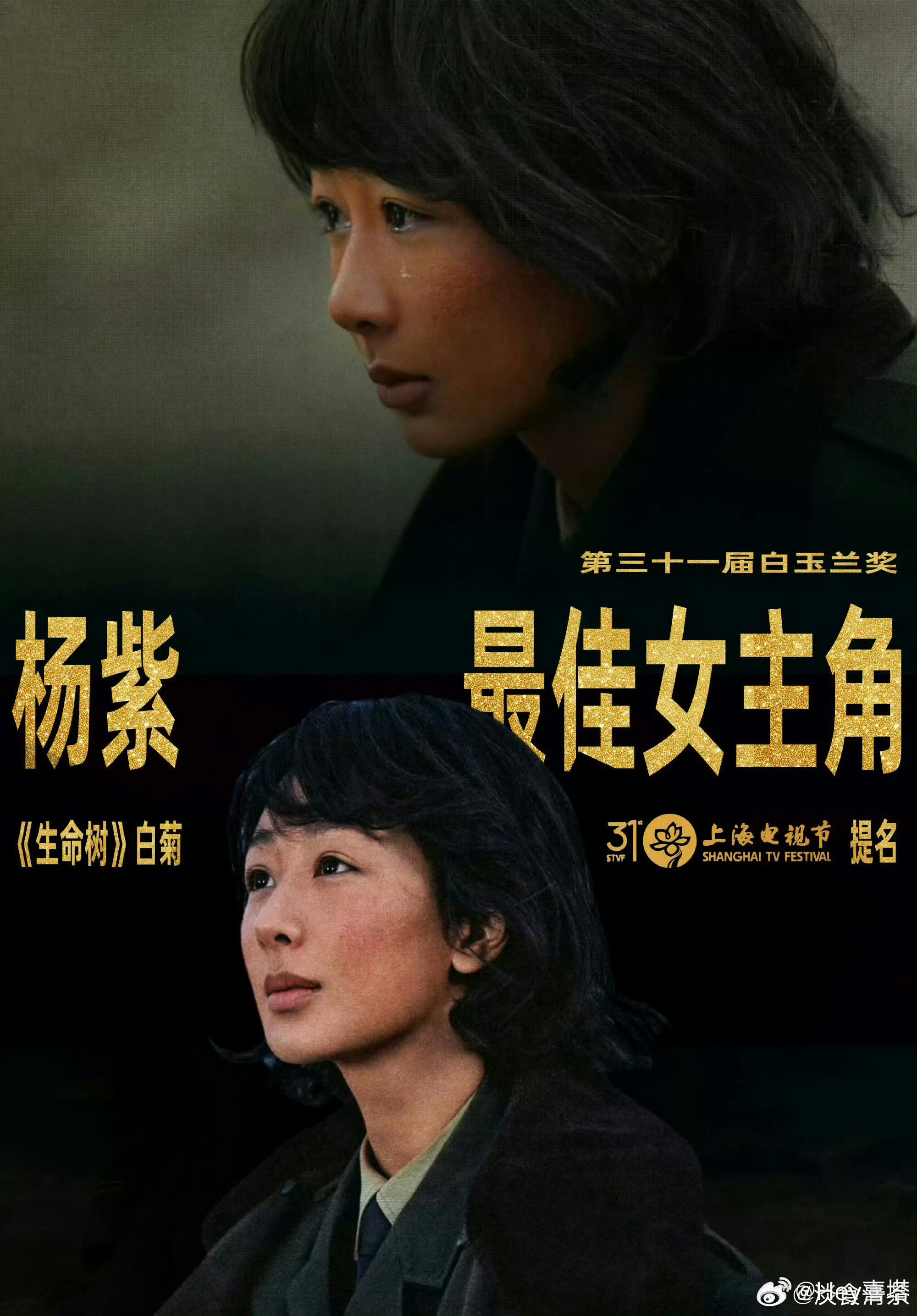 杨紫白玉兰视后 终终终！苦尽甘来！小紫拿下白玉兰视后🏆三年三度白玉兰视后提名，