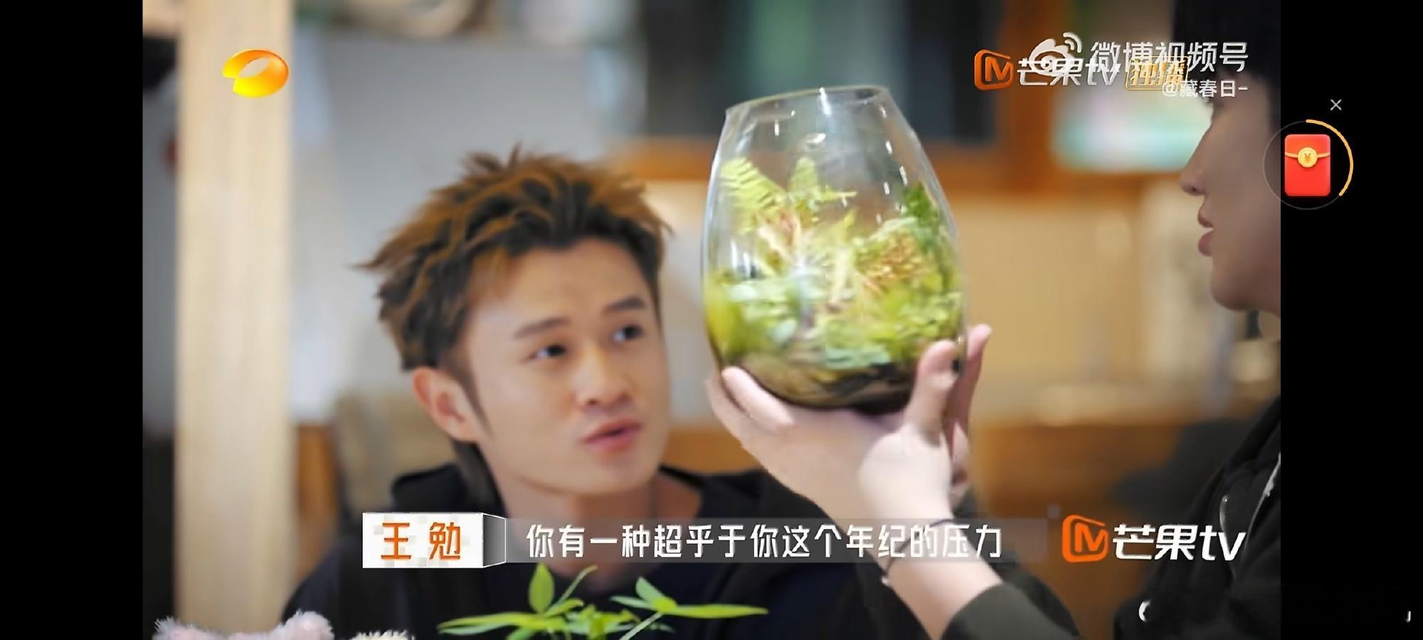 王勉收到发财树反应演我老板是新人 看到王勉收到发财树的反应，瞬间觉得他就是我的互