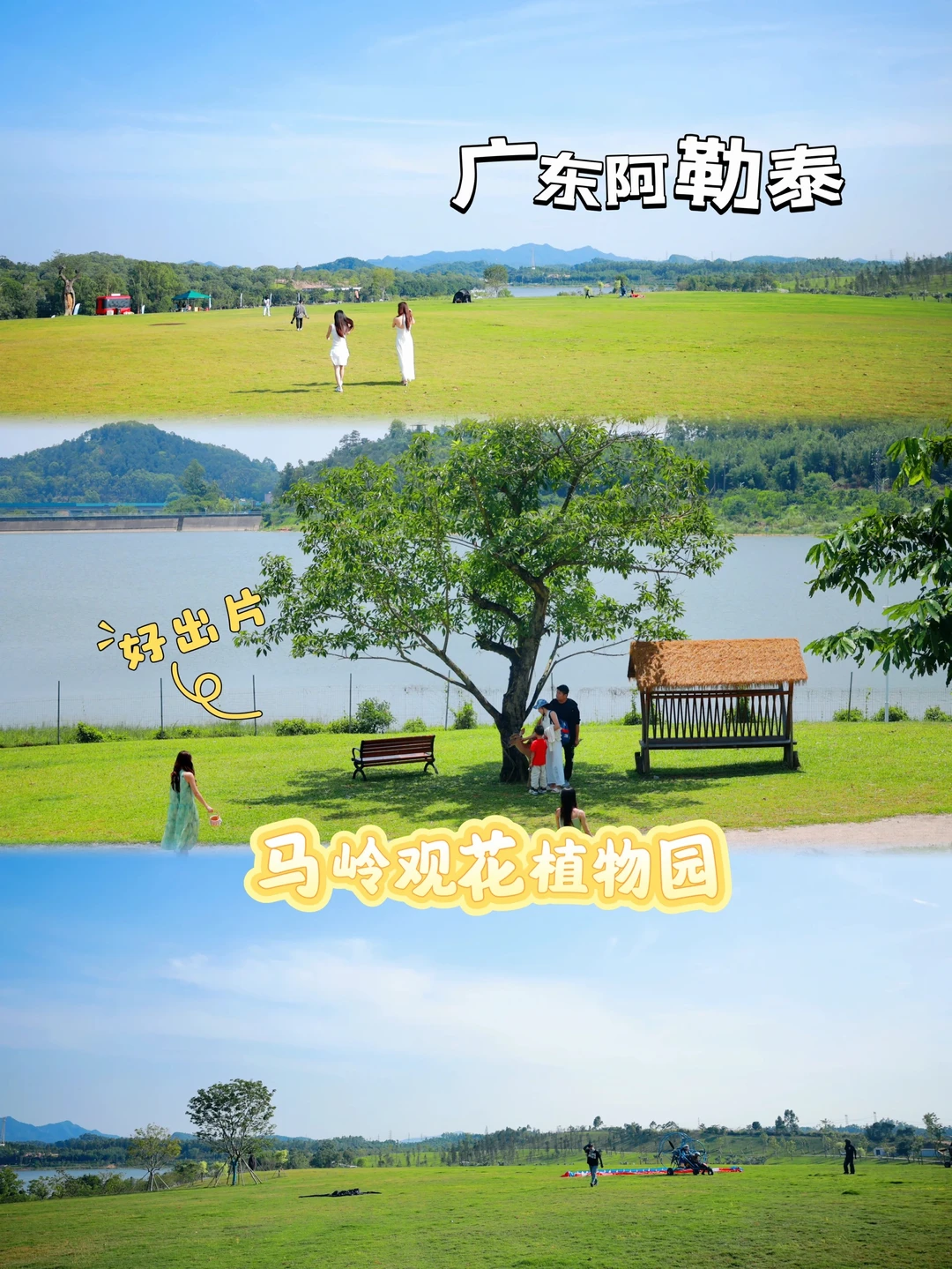 花都遛娃宝地✨马岭植物园泼水节玩足一天