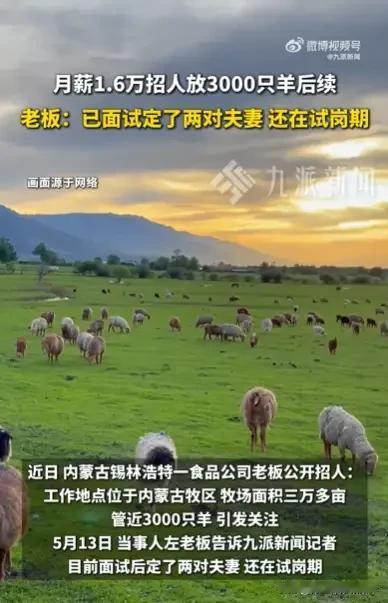 内蒙古老板还真的招来了放羊人，在工资面前，一切都是神马和浮云……