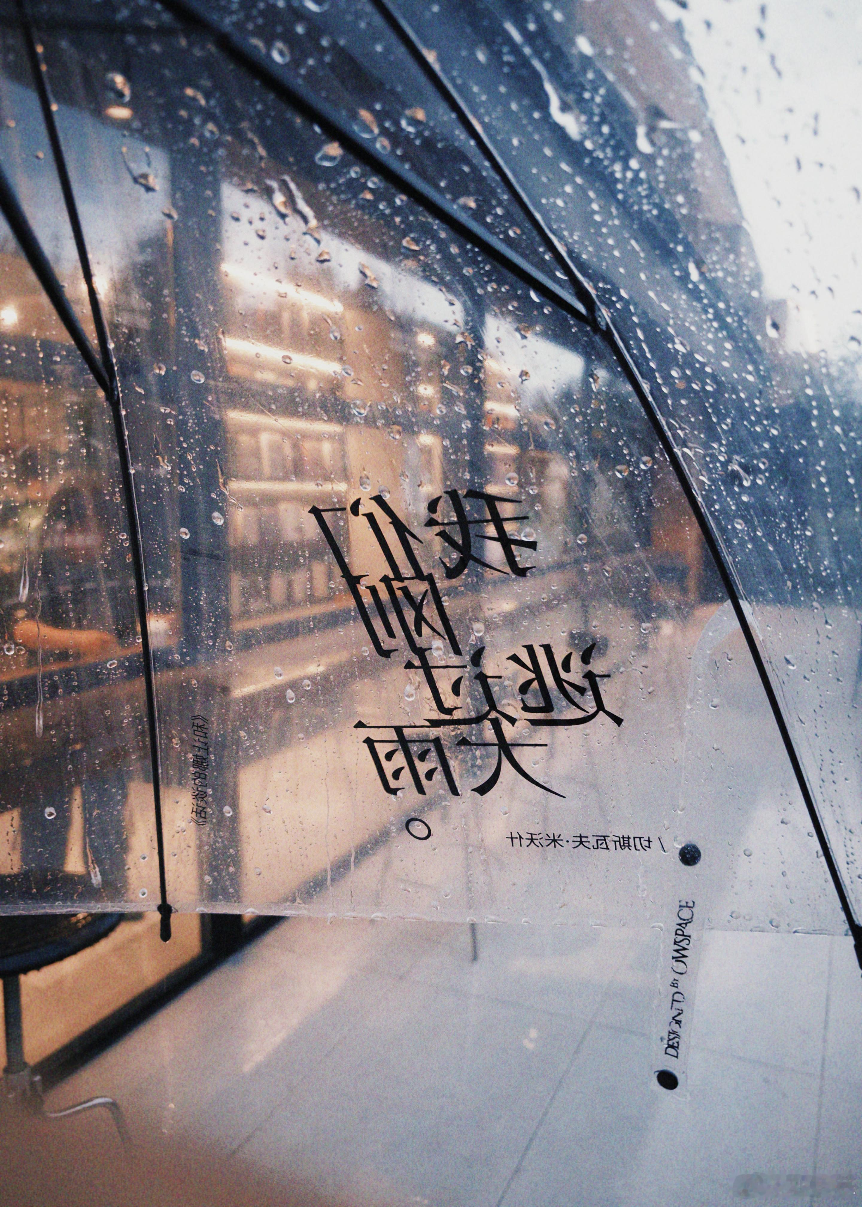 下班路上突然大暴雨 被好心邻居送了一把有米沃什诗句的伞 在书店灯光下映衬下 暴雨