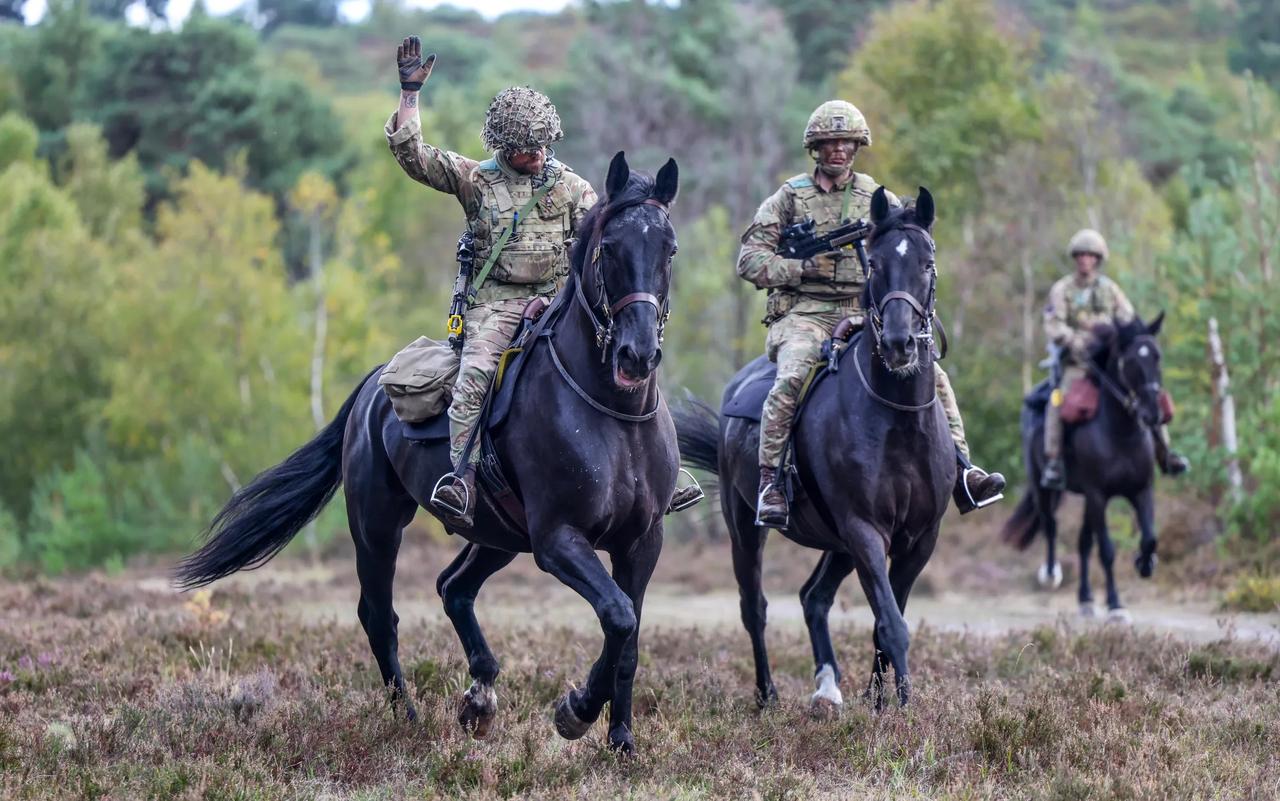 轻兵器科普轻兵器爱好者无人机为战马重返战场创造机会？英国皇家近卫骑兵团最近在汉普