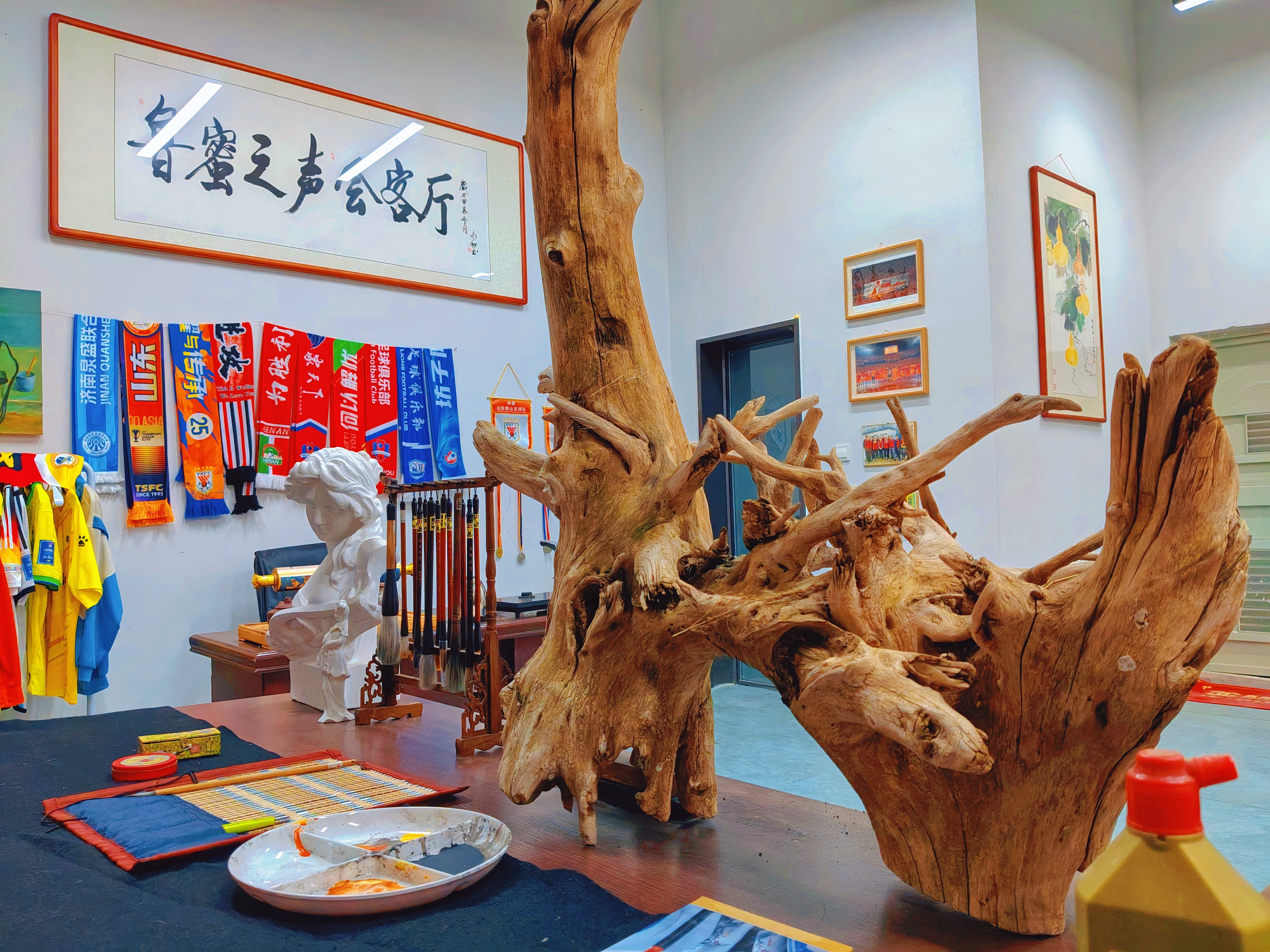 欢迎来到鲁蜜之声会客厅我的日常plog