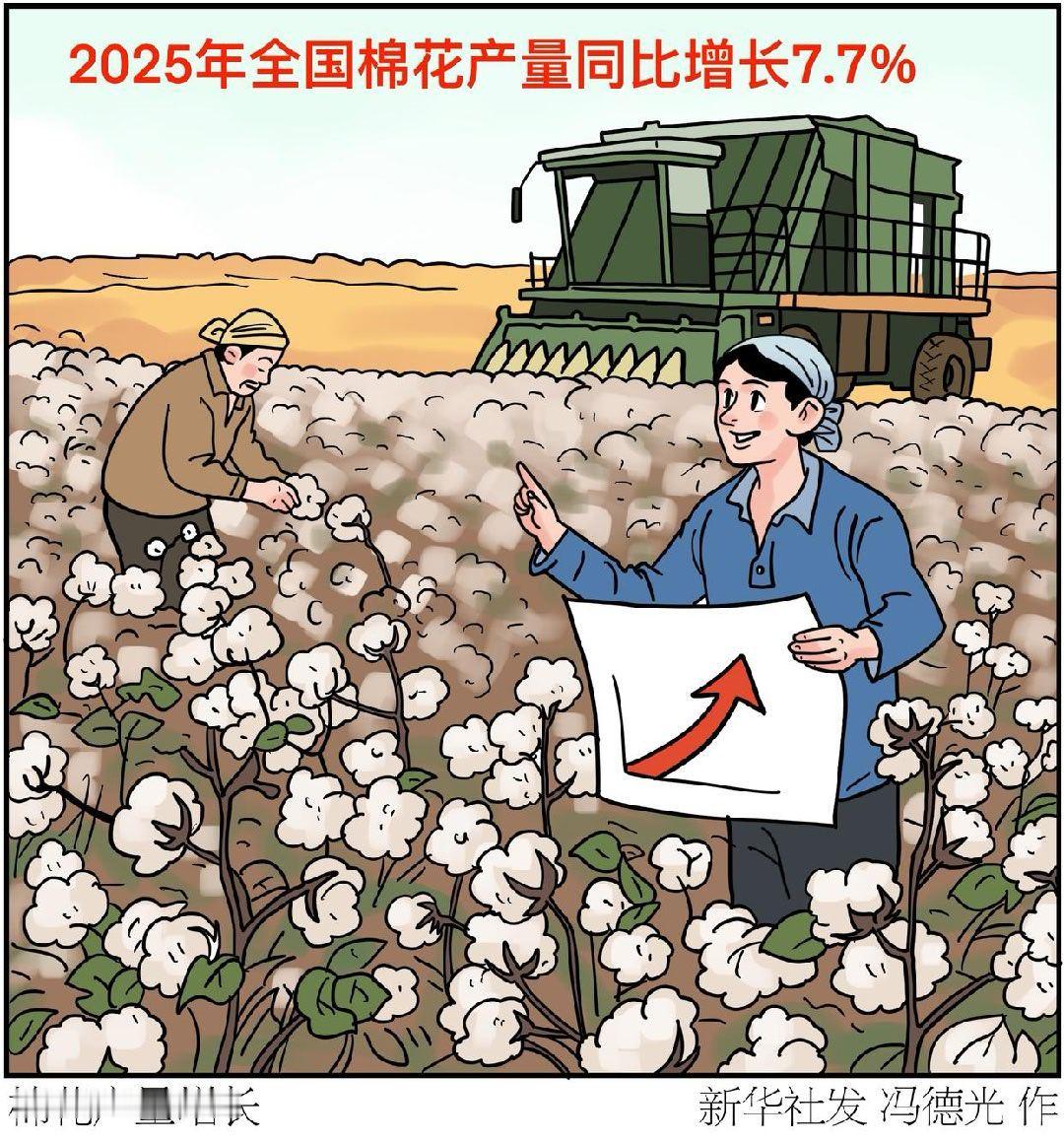 国家统计局26日发布的数据显示，2025年全国棉花产量664.1万吨，比上年增加