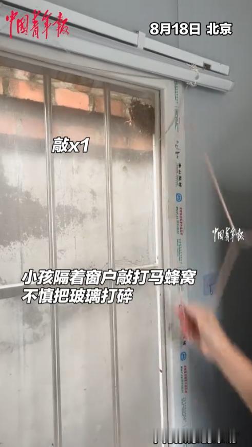 “惊险一刻！”8月18日，北京，一男子带着侄子玩，侄子本想隔着窗户拍马蜂窝，想要