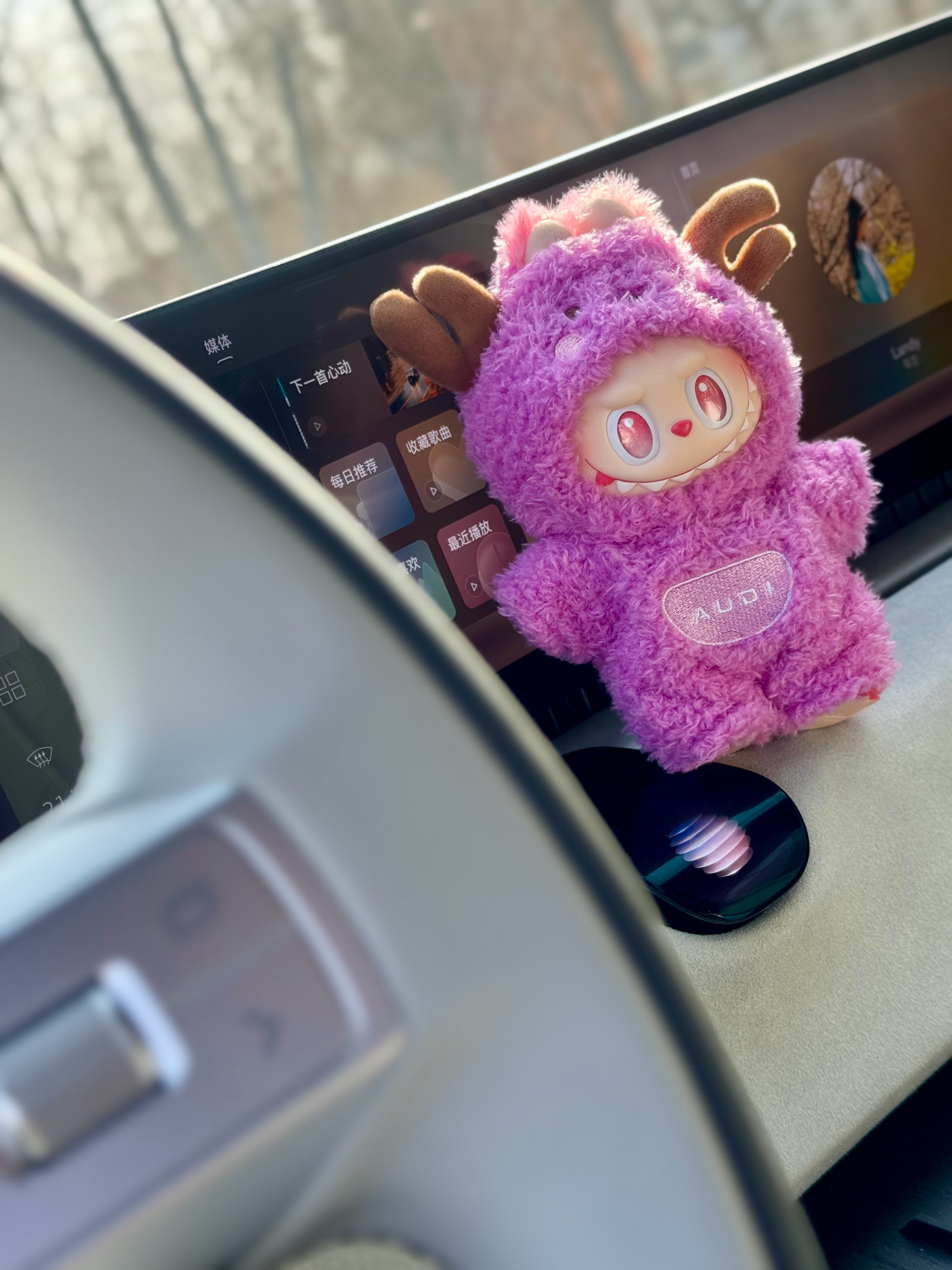 同车多了个伙伴AUDI紫色连体服李楠说道李楠说道大v聊车奥迪labubu