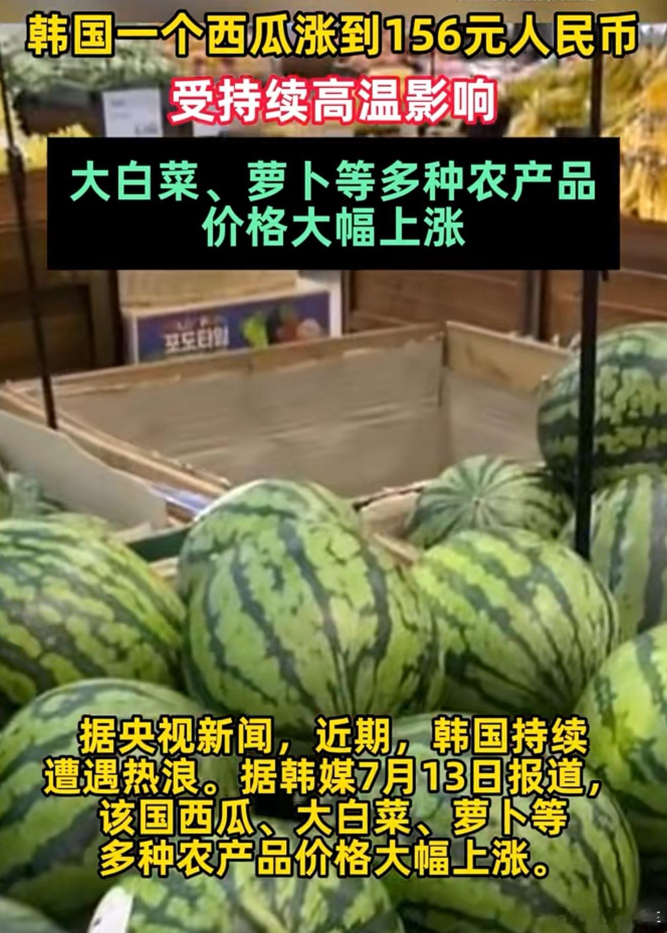 韩国一个西瓜涨到156元韩国水果贵的离谱了[允悲]不像我们中国吃西瓜能吃到吐，便