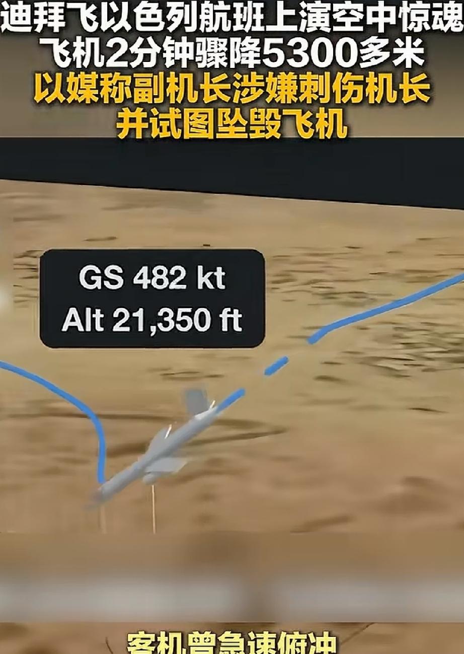 迪拜客机事件的发生扑朔迷离。最初的版本是，乌克兰籍副机长试图坠毁飞机，刺杀俄罗斯