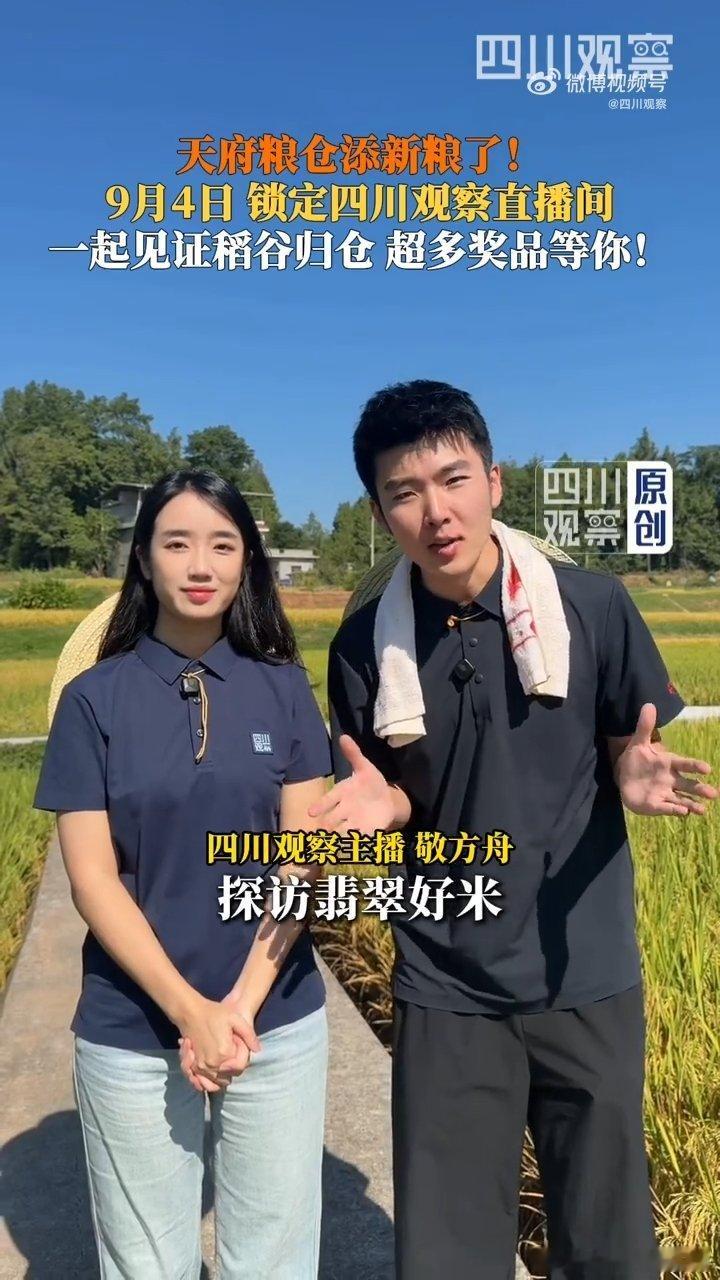 天府粮仓添新粮了 跟着镜头走进四川各地的田间地头，亲眼看看稻谷开镰收割的热闹场面