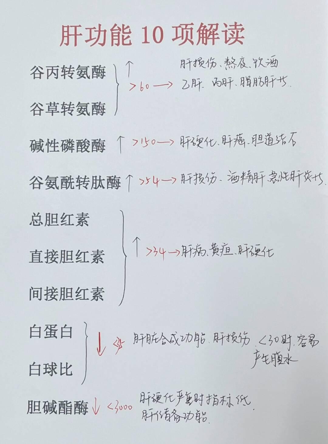 肝功能10项解读！