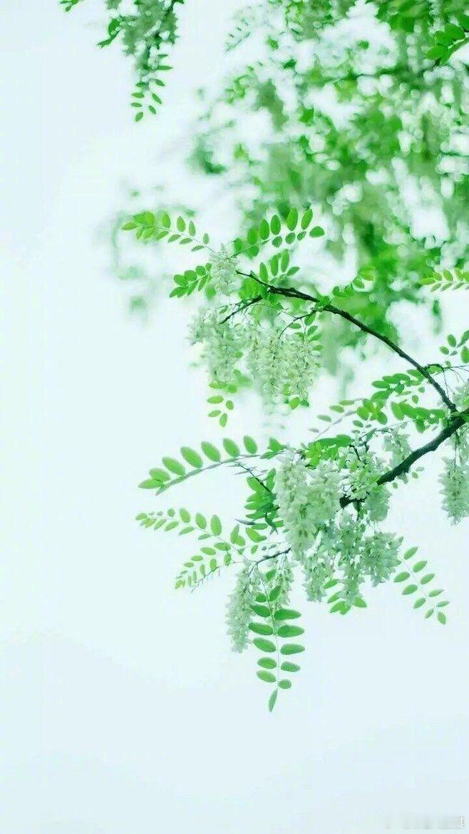 带一卷书，走十里路，选一个清净地，看天，听鸟，倦了时，和身在草绵绵处寻梦去。生活