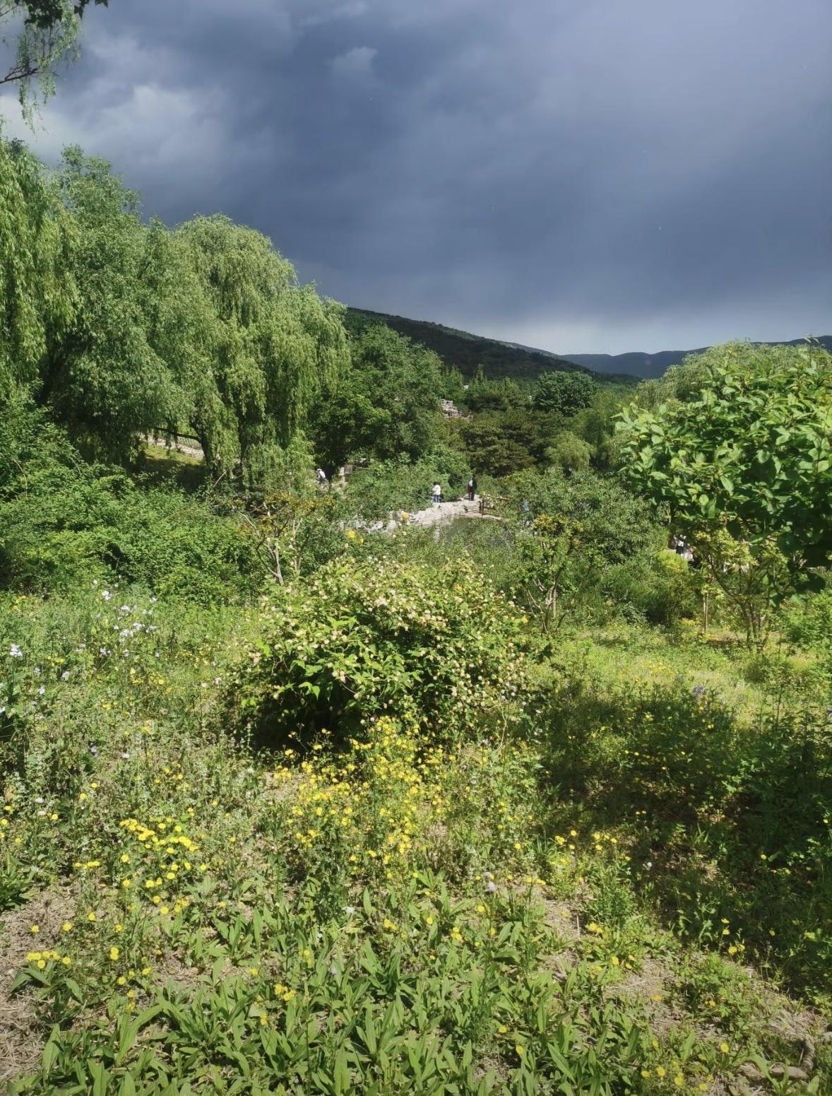 七律· 登峰揽物华

 文//熏墨
青山迤逦景无涯，草木含风沐晚霞；
拾级登临观