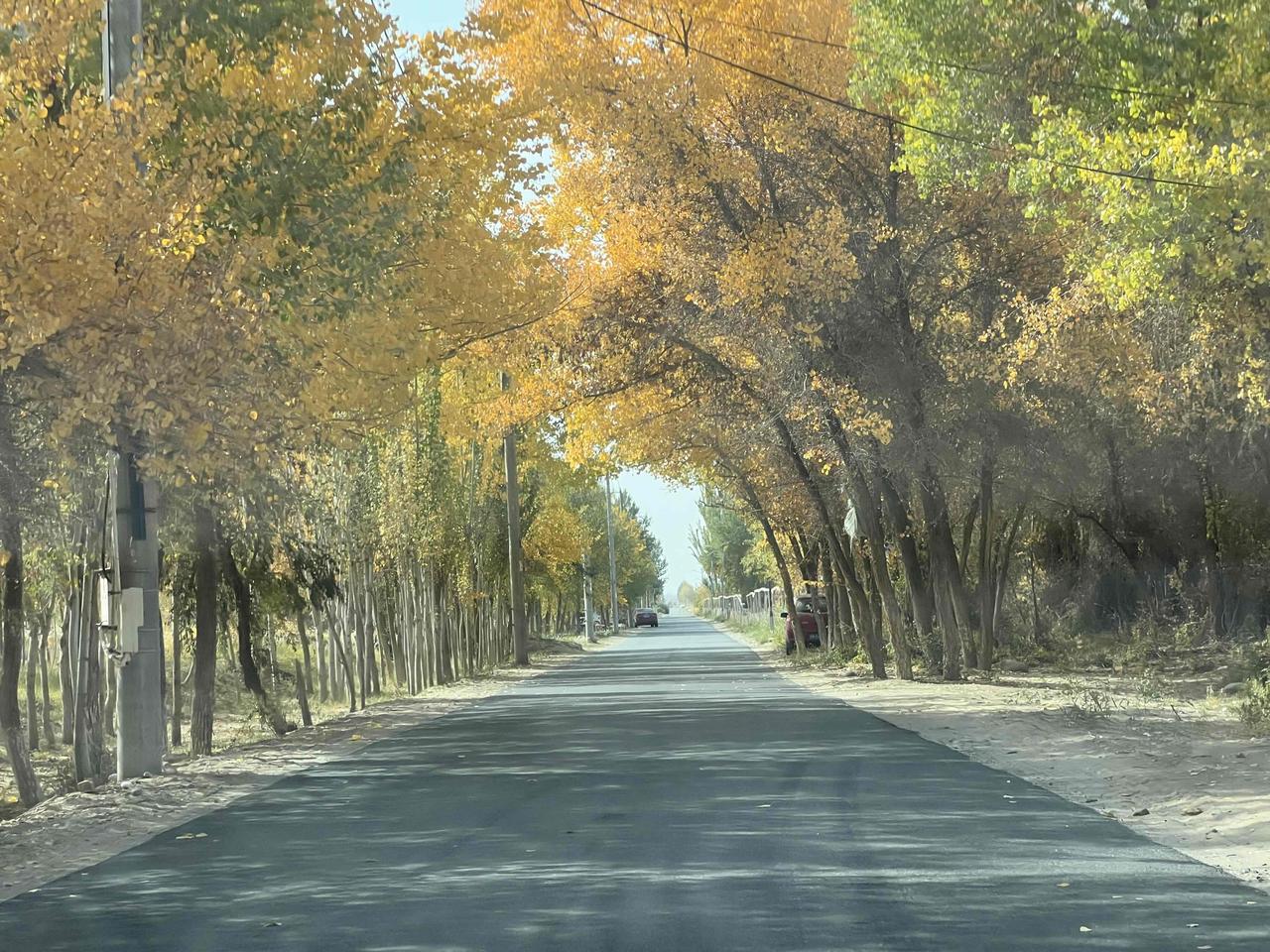 一年四季中哪个季节的景色最美秋天