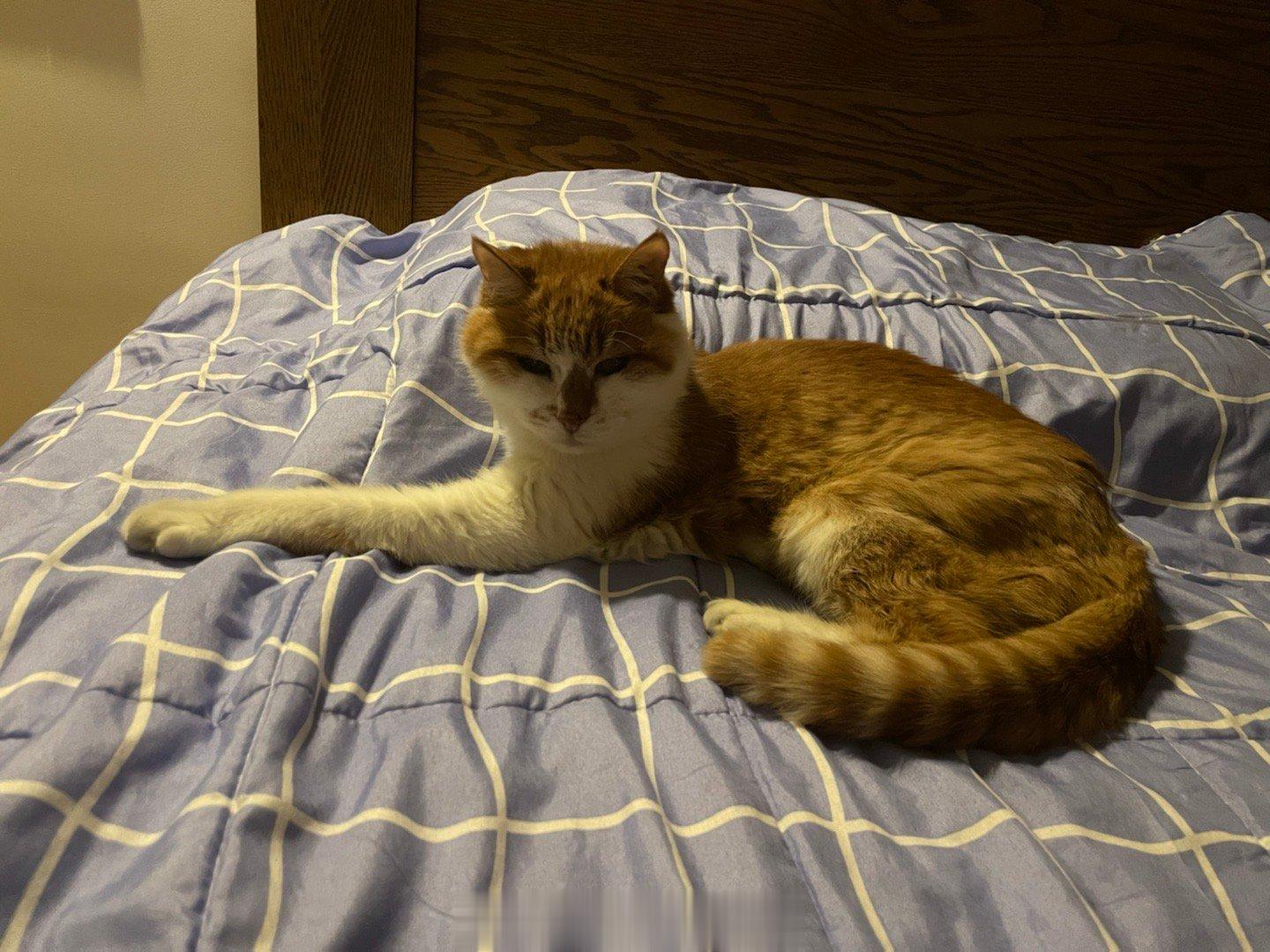 #萌宠那些事[超话]# 19岁的第一天，赶脚自己乖乖哒！ ​​​