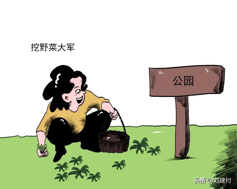 女孩被相亲对象约去挖野菜 最近，“女孩被相亲对象约去挖野菜”一事火了，相关话题阅