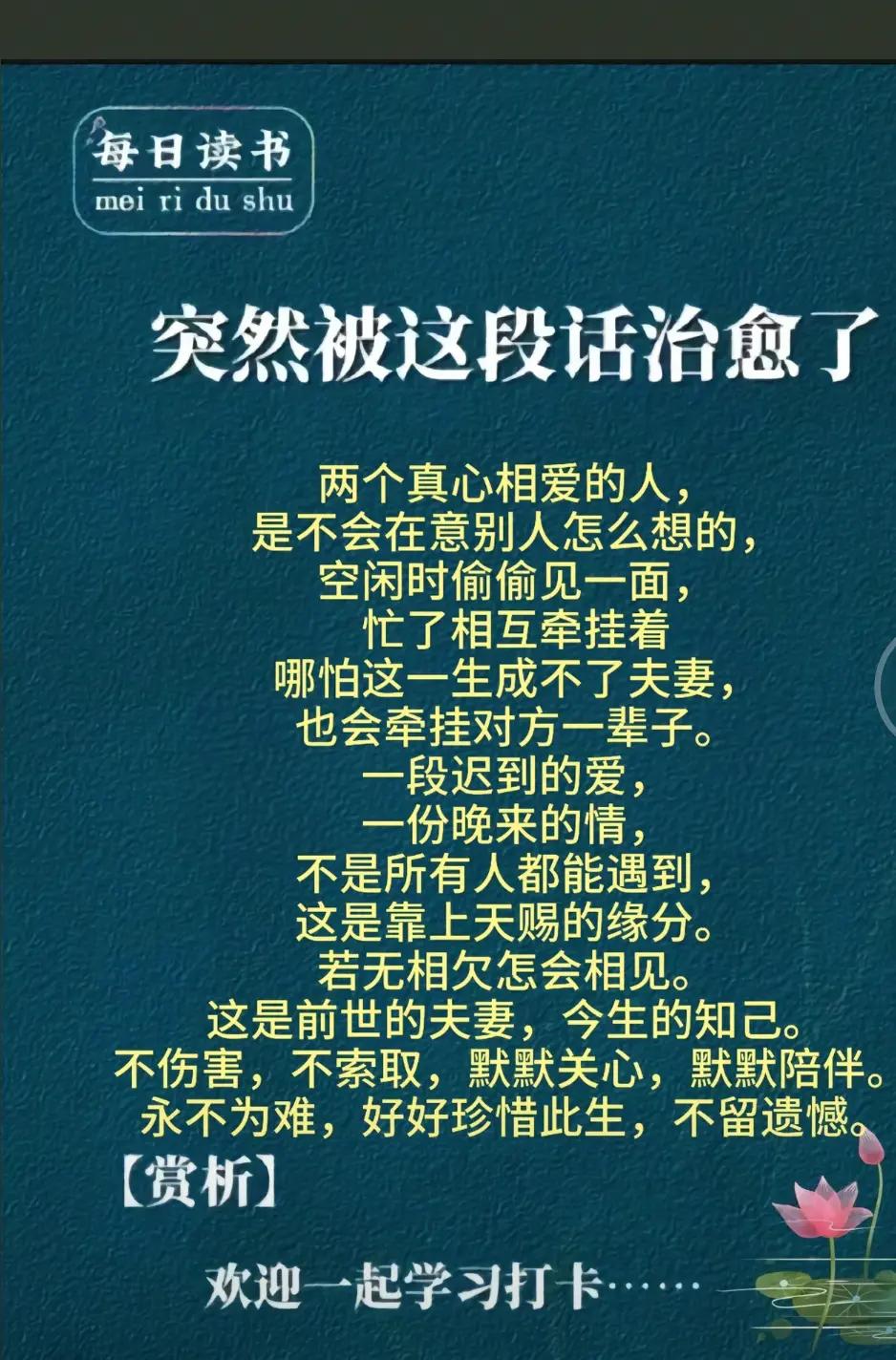 每日分享情感生活感悟