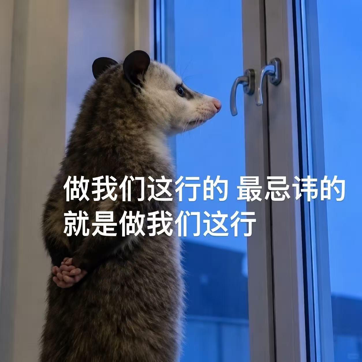 分享图片 