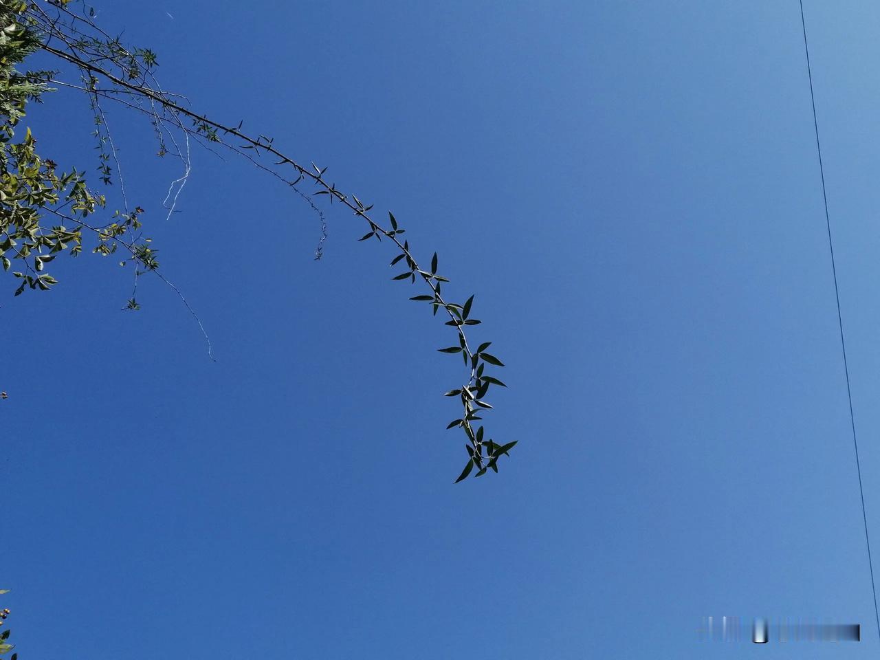 关老师因为管理学生，和学生起了冲突，校领导和年级组怕出事，刚好关老师原本就身体抱