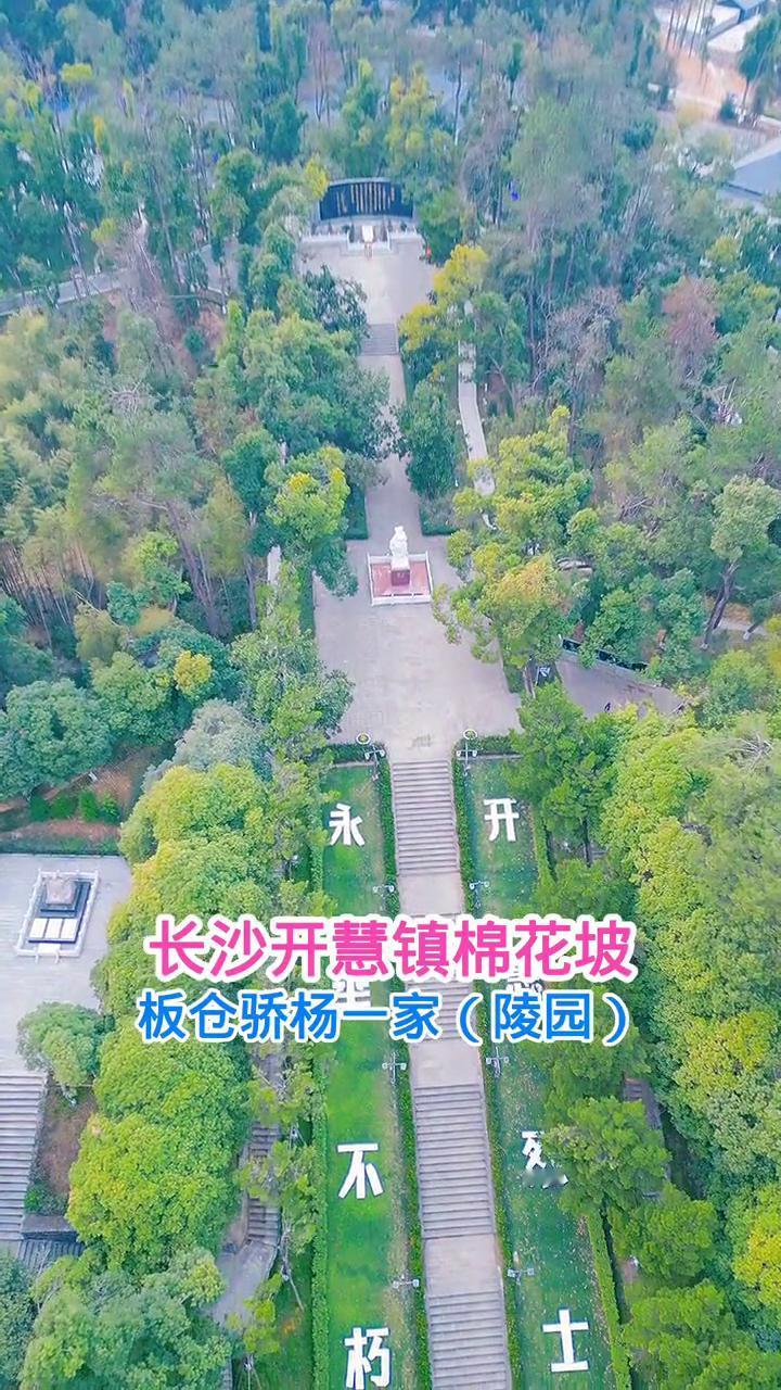 长沙开慧镇棉花坡板仓骄杨一家(陵园)。