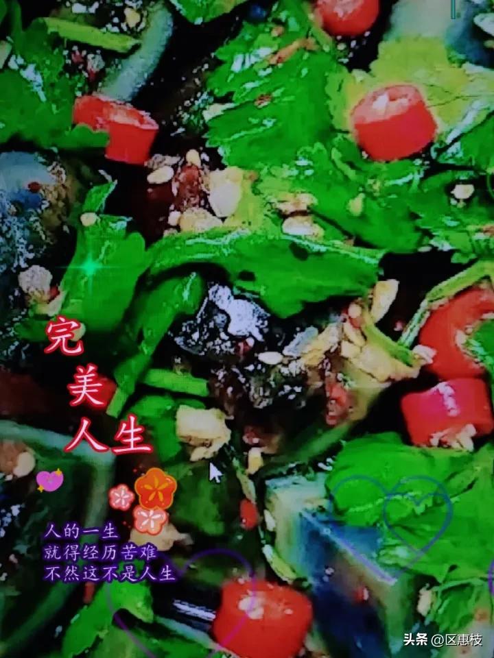 香菜拌皮蛋香辣解腻，配饭配粥一绝。