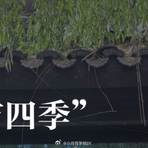 人生感悟 不要去想着当下的某件事是永远的，无论是工作上、还是生活中，都不要急着去