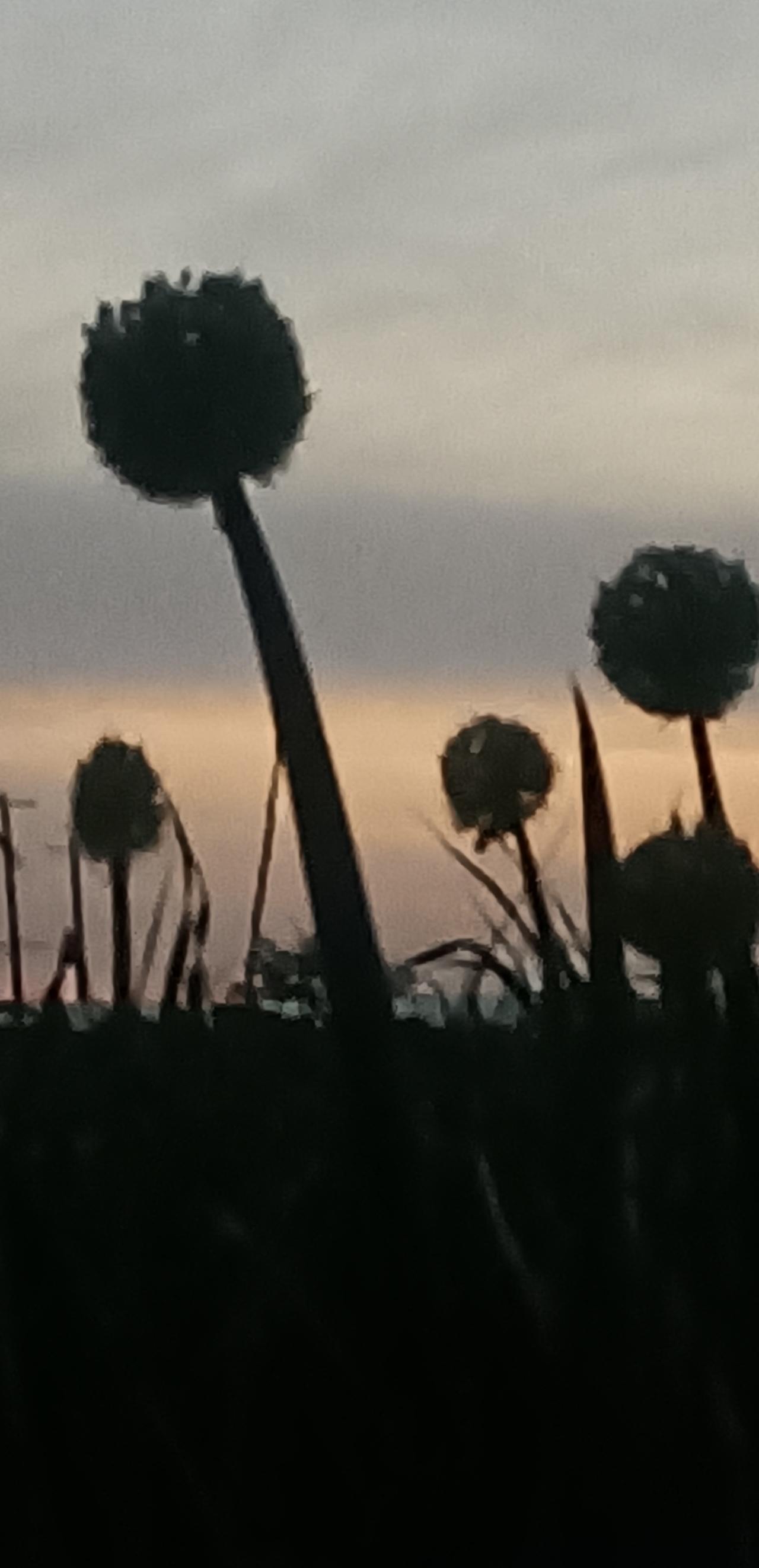 【春之韵·不一样的光芒】今年春天最想实现的心愿

不必追光，
你我皆是星辰，
守