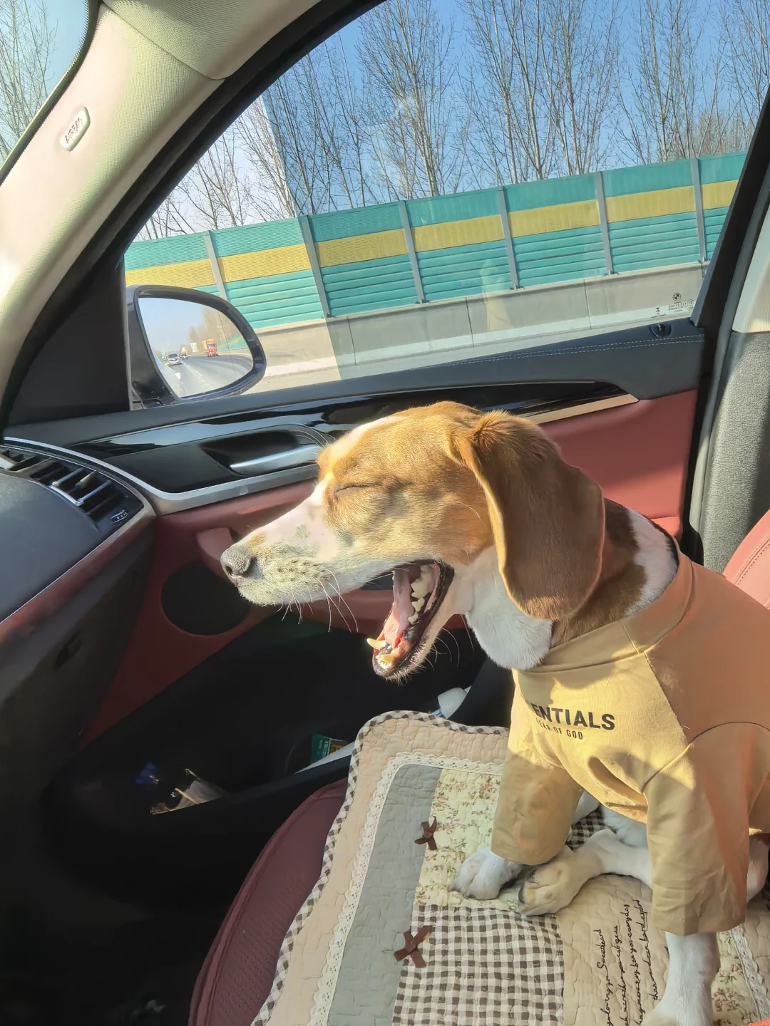 女明星的每一天都很忙