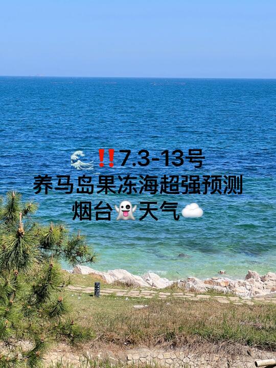 📍7.3-13号烟台养马岛果冻海超强预测