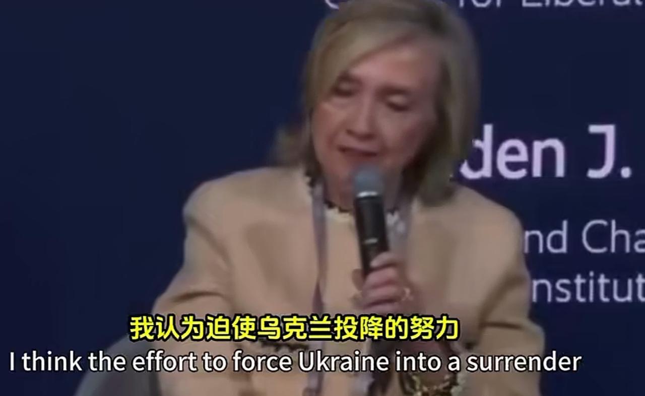 听说在慕尼黑安全会议上，希拉里猛烈批评特朗普。我倒不是对她的观点有什么看法，我是