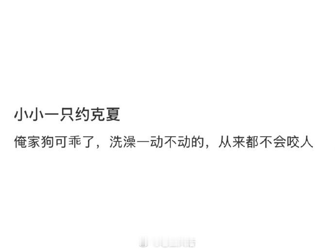 《我的小狗很乖》 ​​​