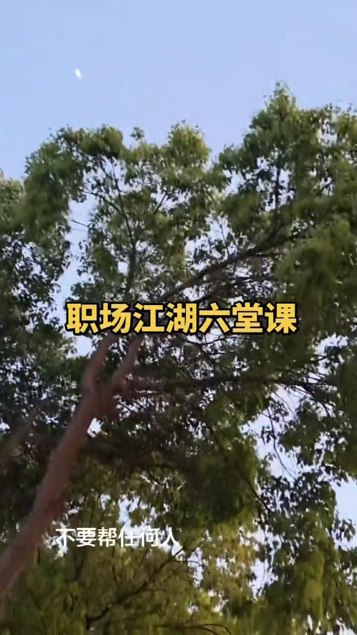 职场江湖六堂课。
·社会第一课：不要同情任何人，你不是佛，渡不了跪着不走的人。