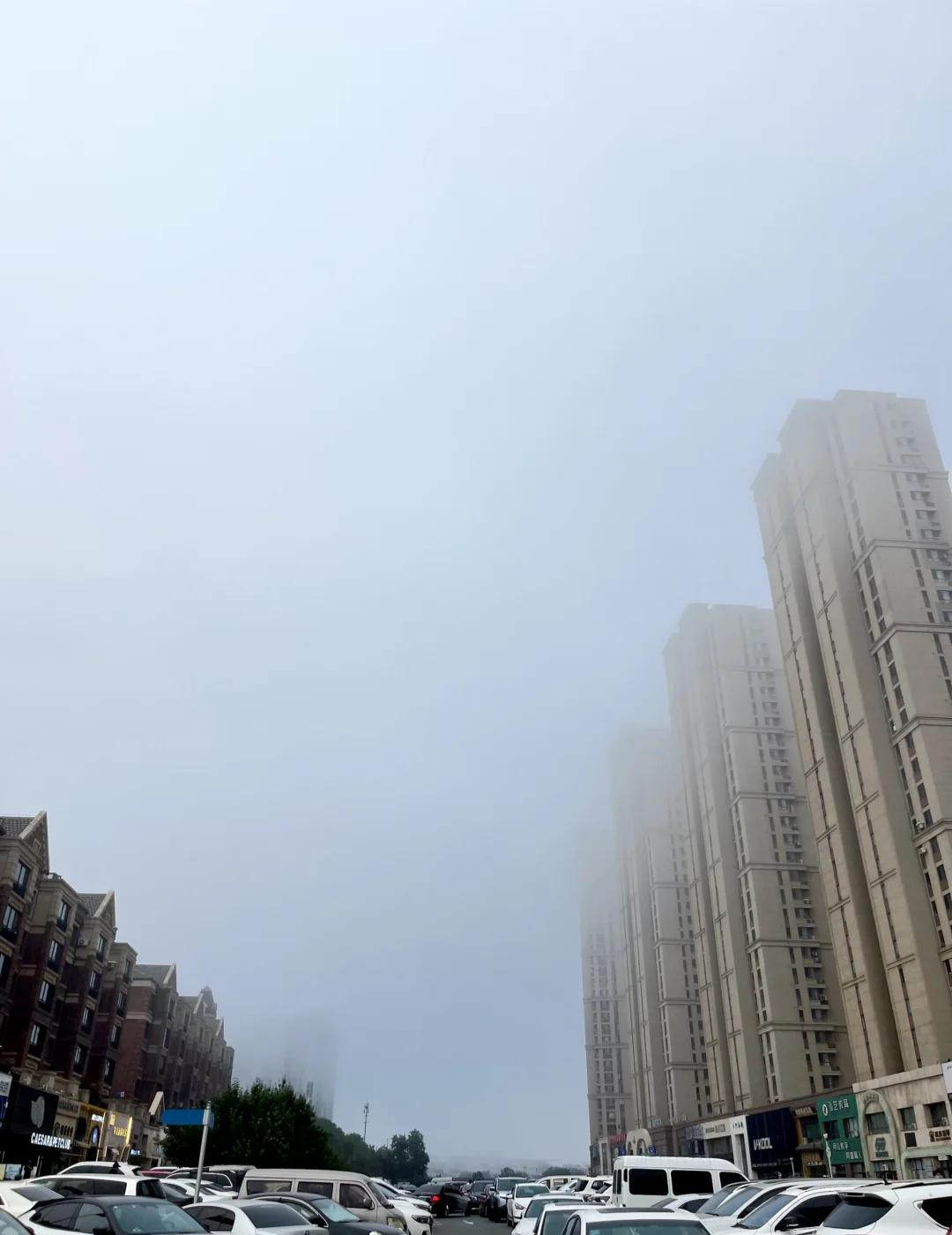 大连你改名叫伦敦吧
刚晴了没几天，这又开始雾气腾腾的，要下雨啊还是要变身啊？🥲