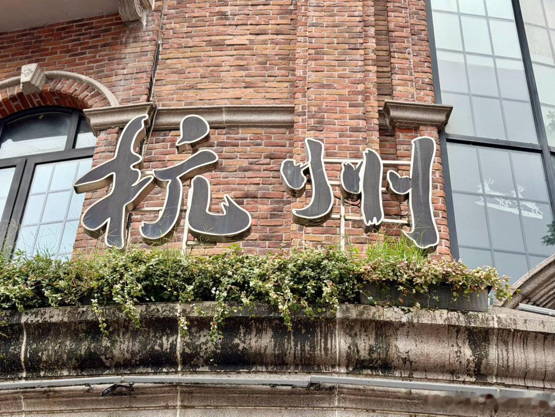 到了杭州地盘再怎么也要去西湖畔打个卡虽然天气烟雨蒙蒙但它的美不言而喻一步一景宝妈