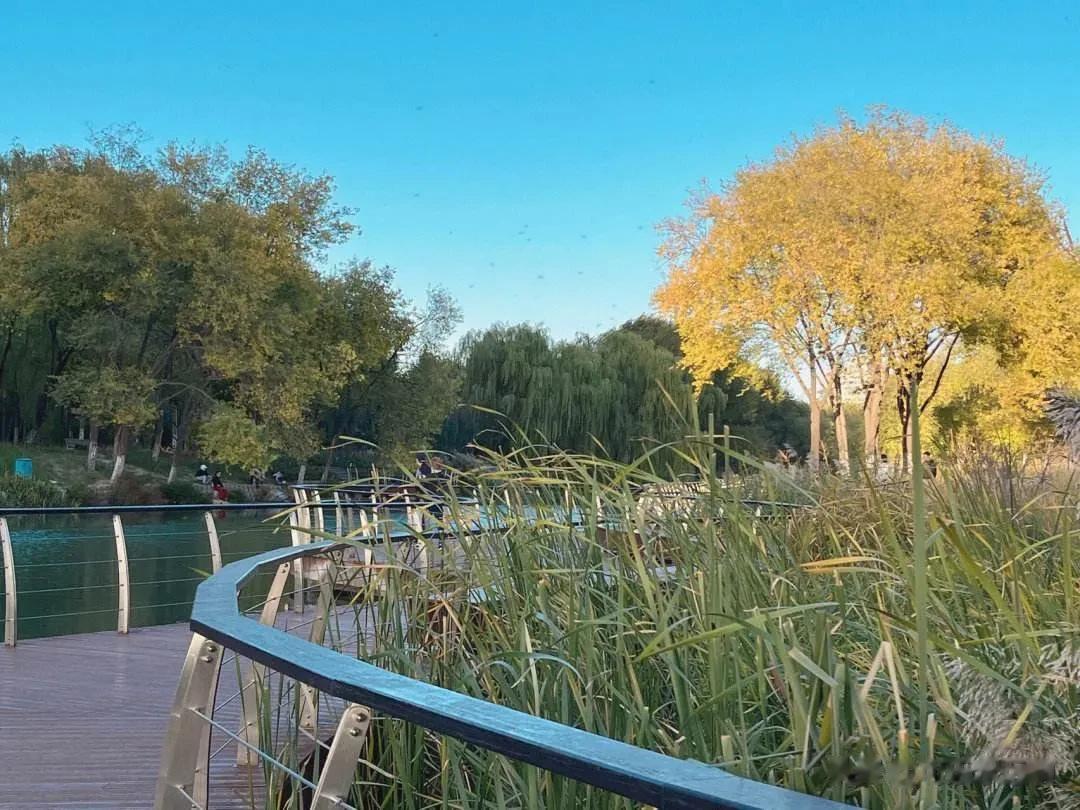  朝阳公园很大，里面还有泡泡玛特乐园正在建设。越来越喜欢周末出去走，这会让我身心