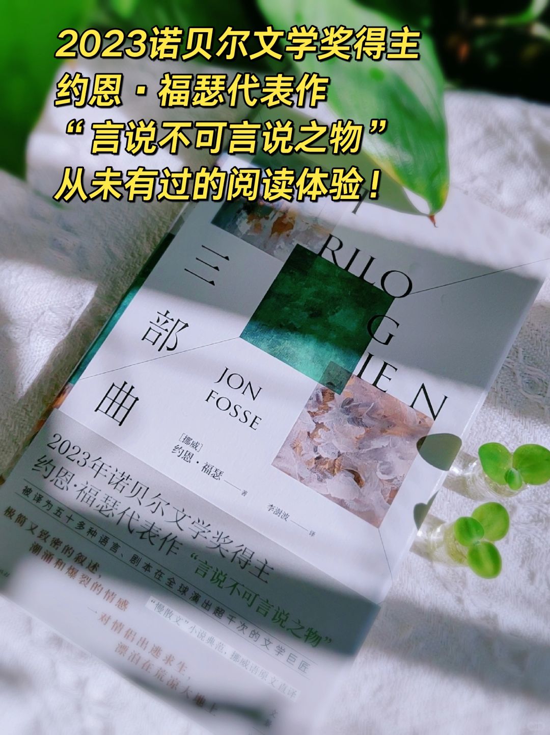 书还能这样写？今年诺奖得主的极简与诗意