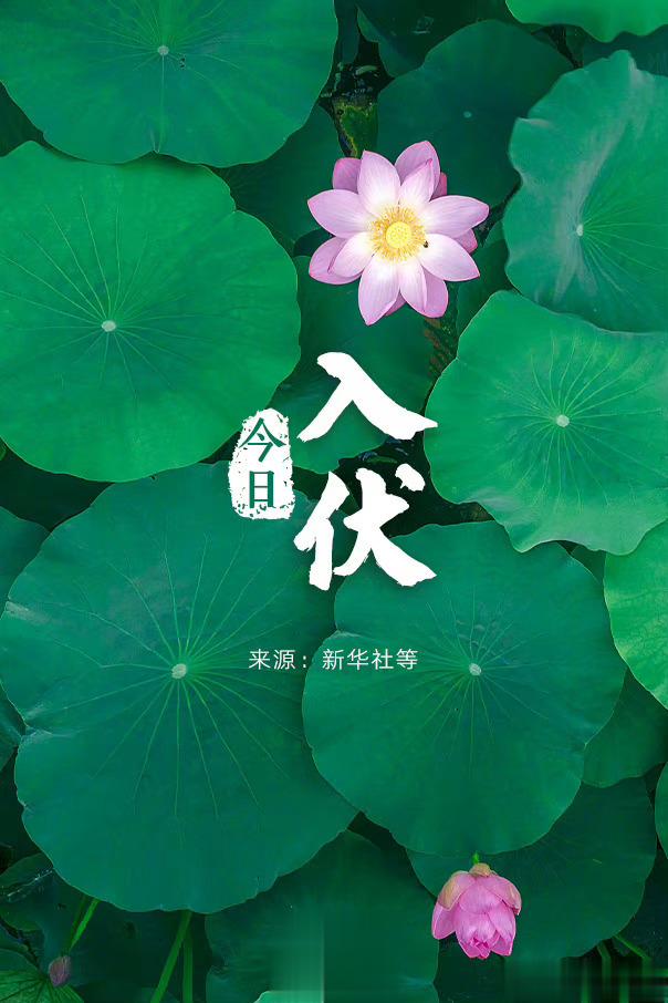 #中医话养生[超话]#今日入伏#小暑# 提醒您开始养生初伏：7月11日-7月20