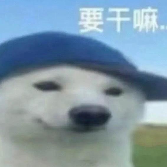 一大早忙得逼飞奶炸 现在只能跑来厕所躲着 