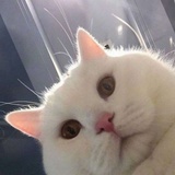 小晶热玩科技
