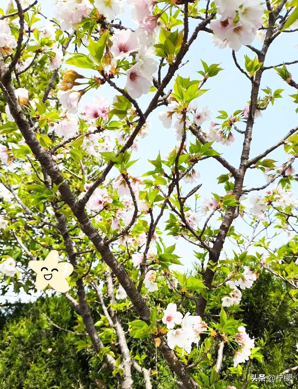 我真搞不懂我妈了
我妈一个月退休工资只有2700块钱，可是她基本上每个月都是月光