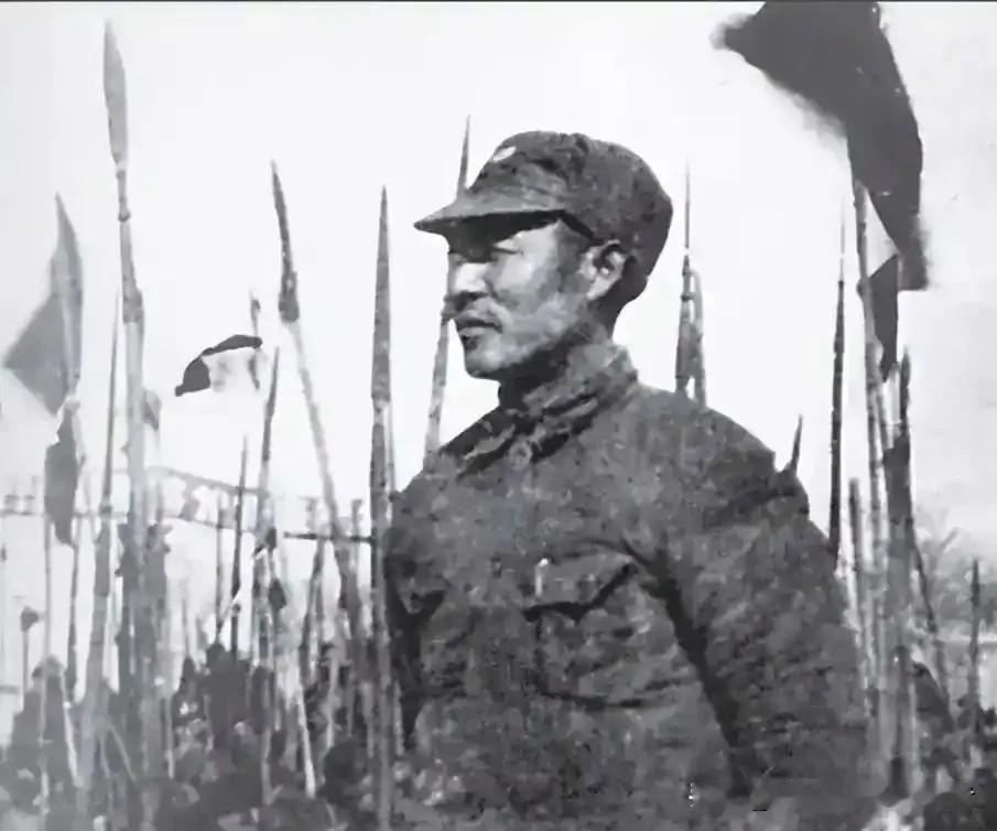 1943年深秋，江苏射阳县新坍镇郊外，伪军排长谷德培带领手下士兵在开北村全域展开